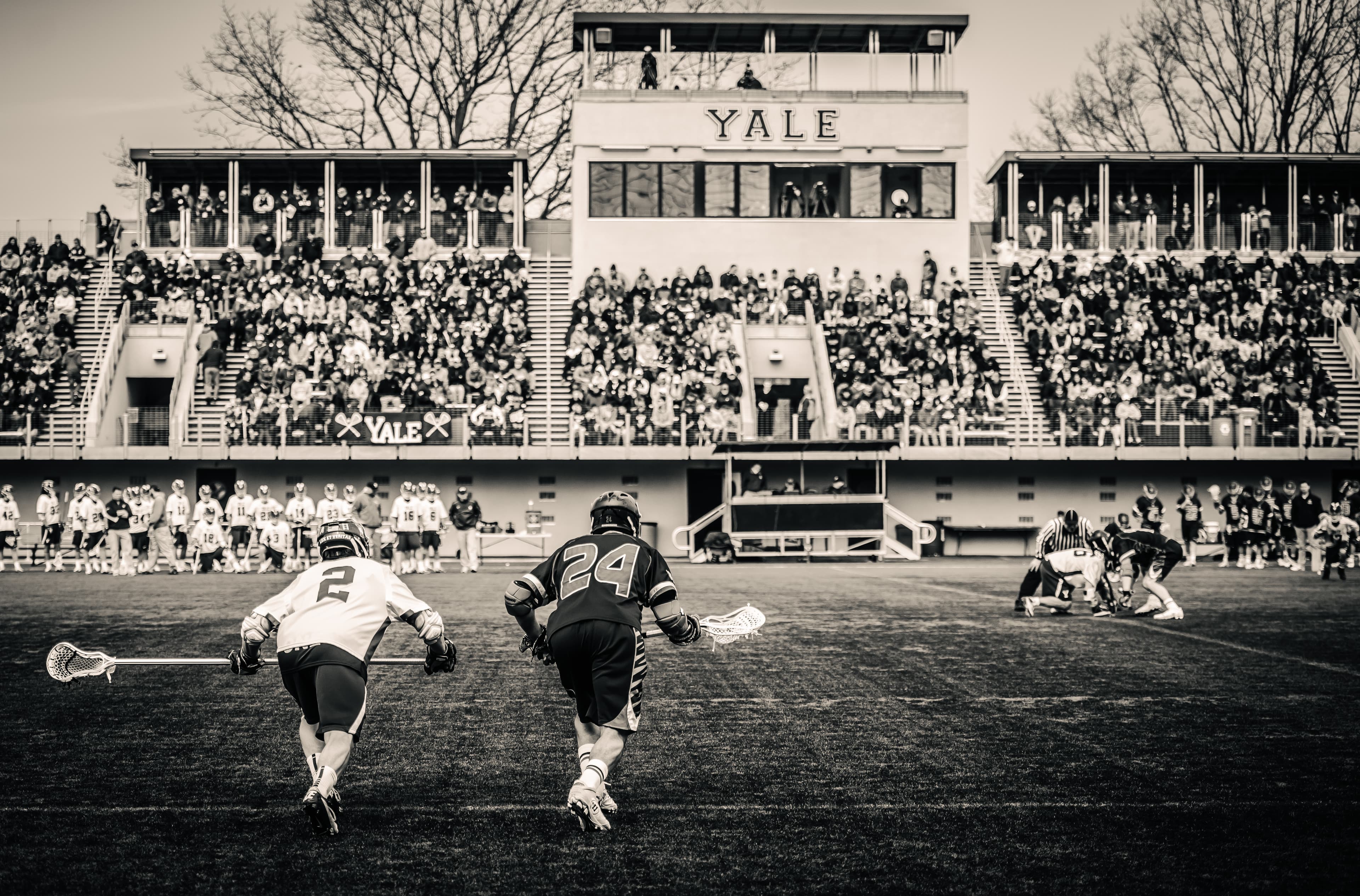 Lacrosse action