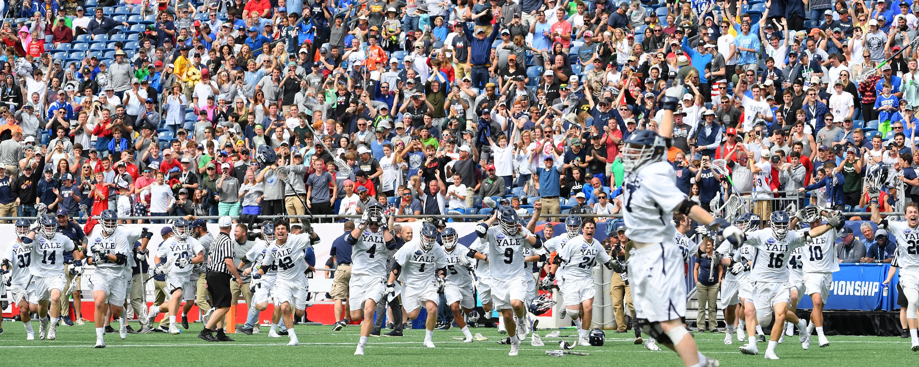 Lacrosse action